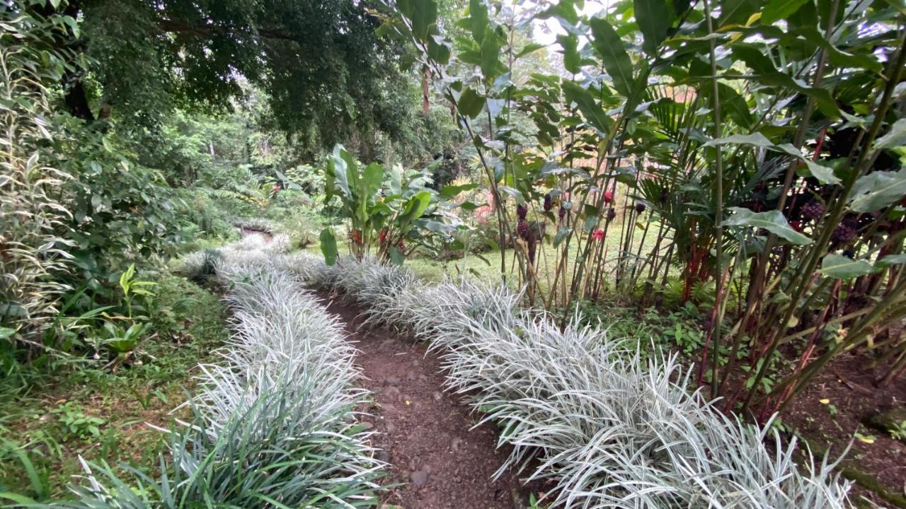 Santa Maria Hotel & Restaurant Hacienda Santa Maria ภายนอก รูปภาพ