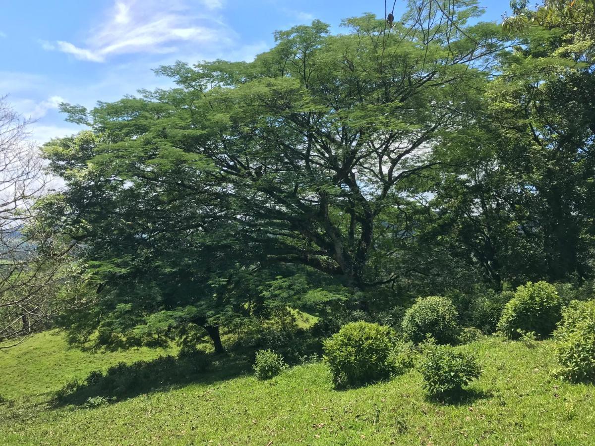 Santa Maria Hotel & Restaurant Hacienda Santa Maria ภายนอก รูปภาพ